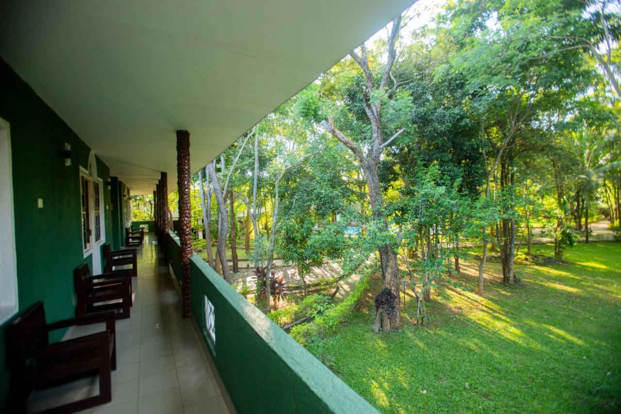 Hotel Eden Garden Sigiriya Exteriör bild